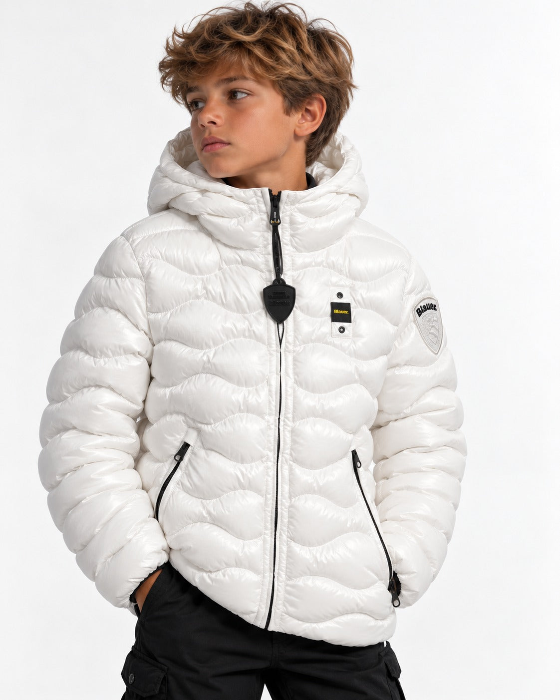 Bryant JR 26WBLKC02270 100EI BLAUER