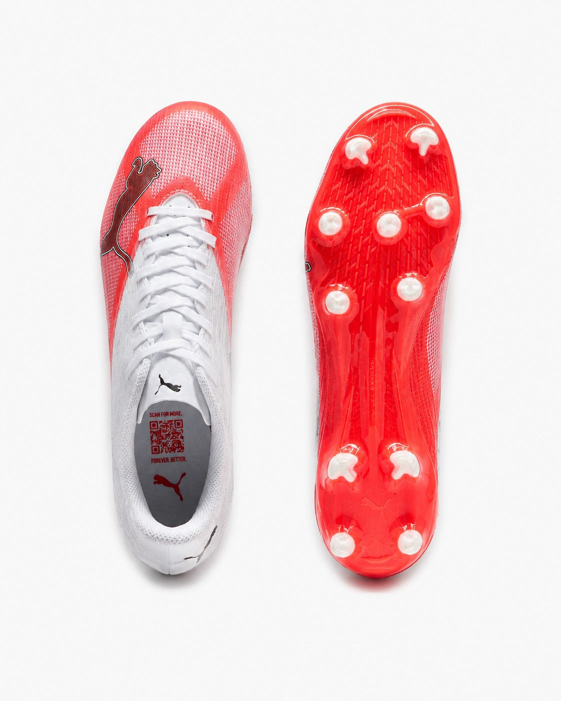 109146 01 PUMA