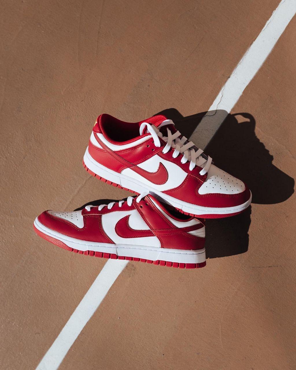 Dunk Low DD1391 602 NIKE