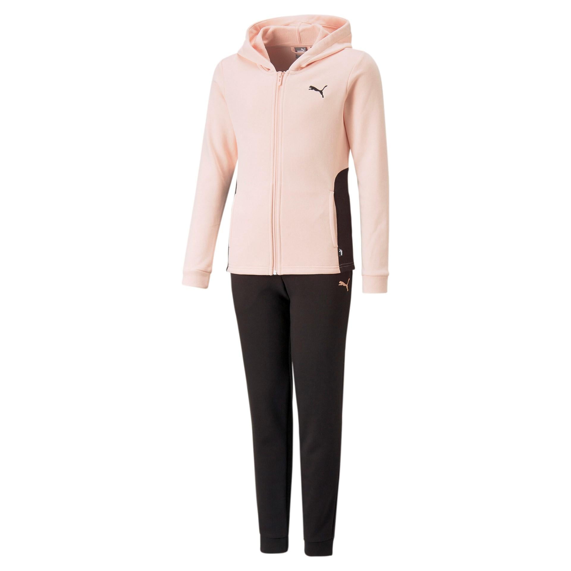 Hooded Sweat Suit 673586 66 PUMA
