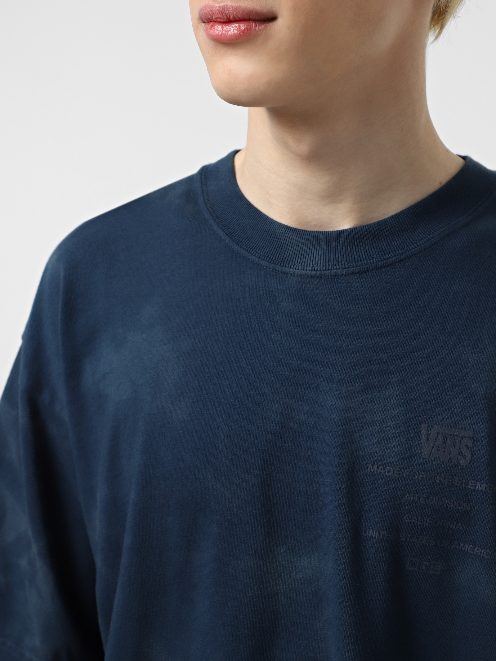 Canyonlands Ss Tee VN000M2S LKZ1 VANS