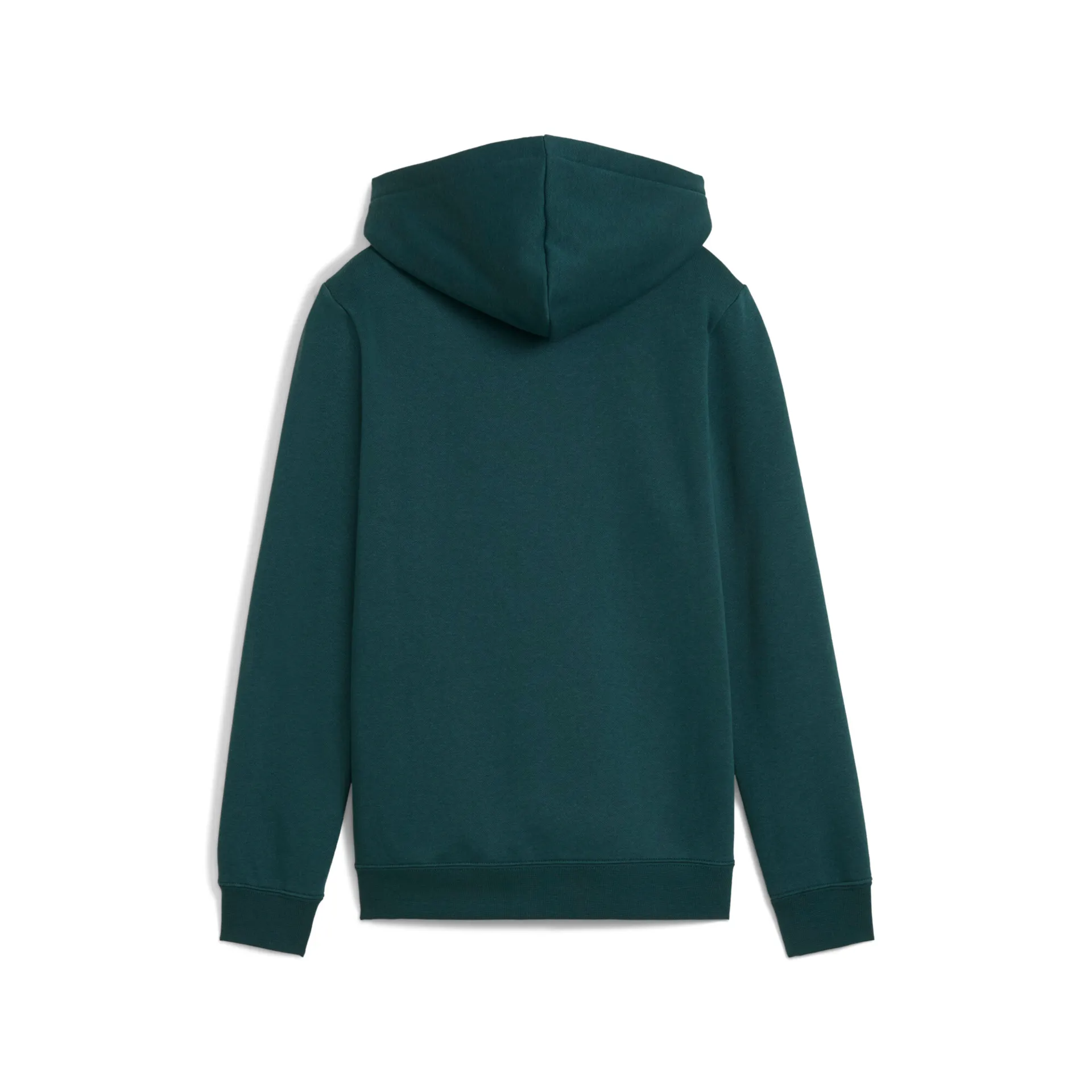 ESS LOGO LAB Hoodie FL B 689135 75 PUMA