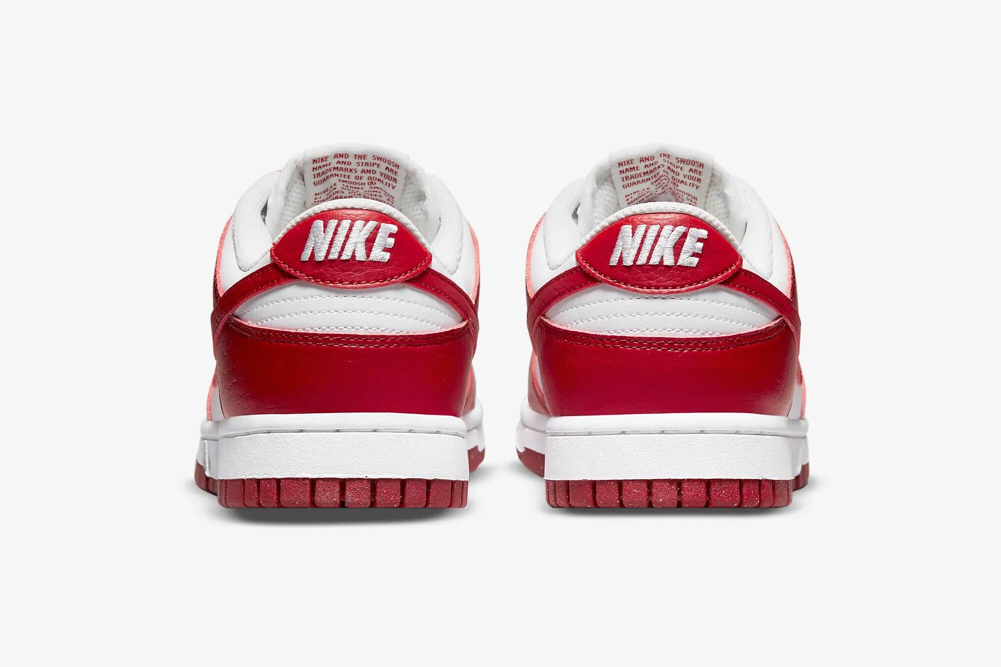 Dunk Low DN1431 101 NIKE
