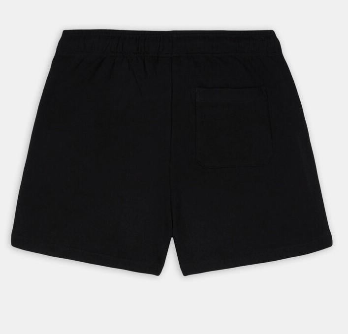 MAPLETON DK0A4YB6 BLK1 DICKIES