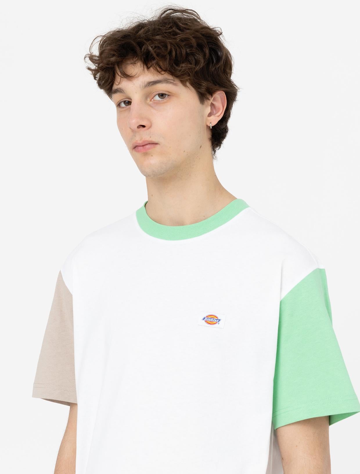 EDDYVILLE Tee DK0A4Y8S WHX1 DICKIES