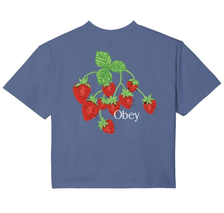 Strawberry bunch 22WC0000756 CORNETBLUE OBEY