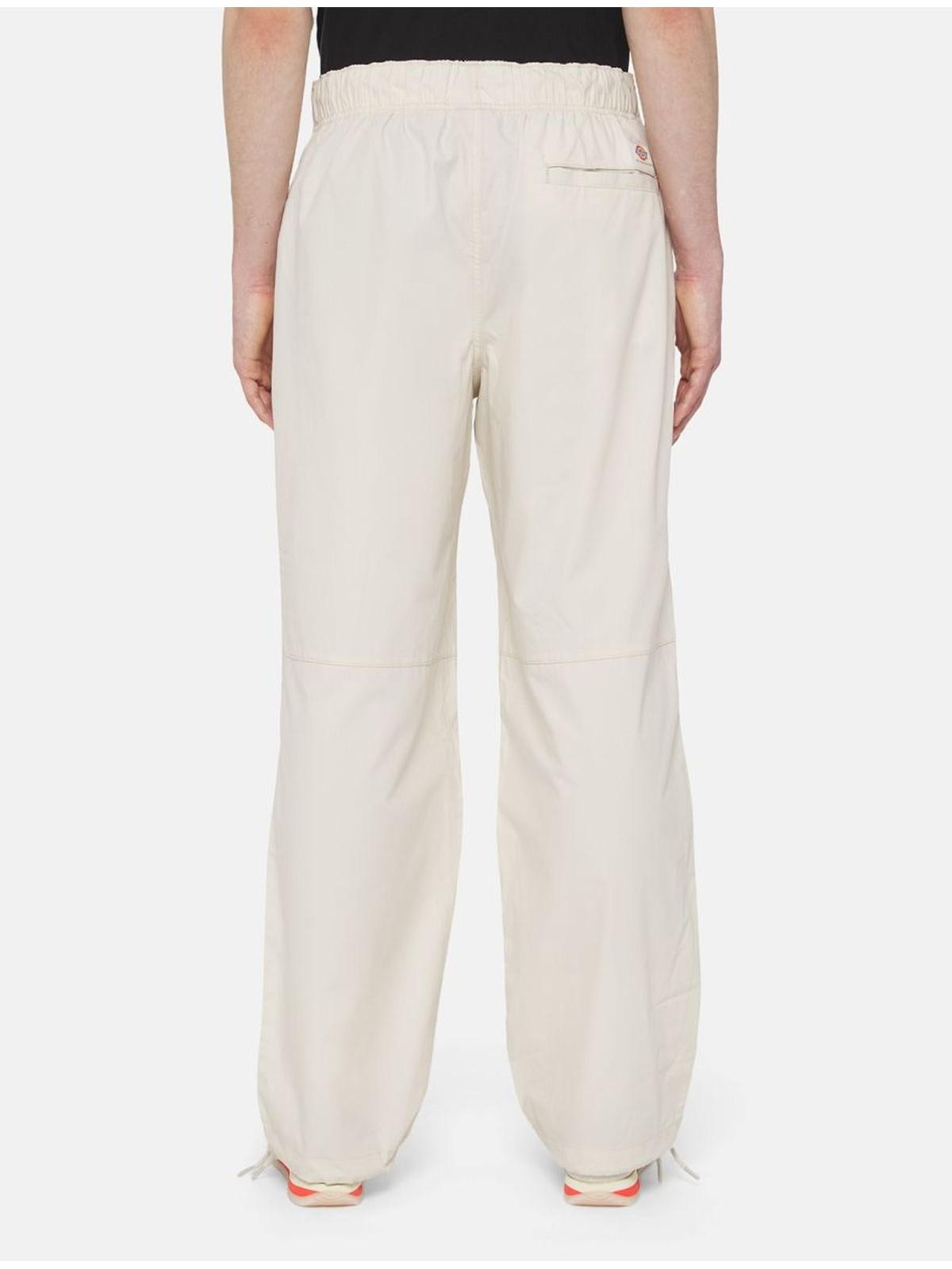 FISHERSVILLE PANT WHITECAP DK0A4YSD F90 DICKIES
