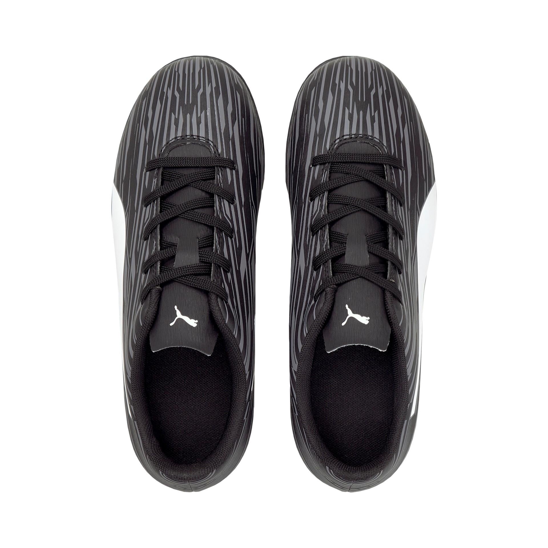 Rapido III TT Jr 106579 02 PUMA