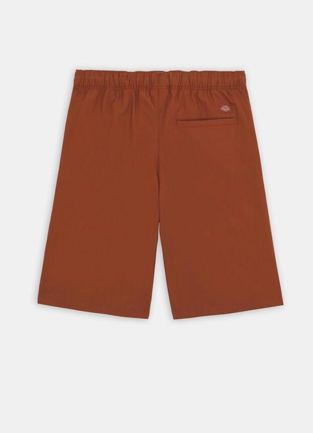 fisherville short DK0A4YSI H161 DICKIES