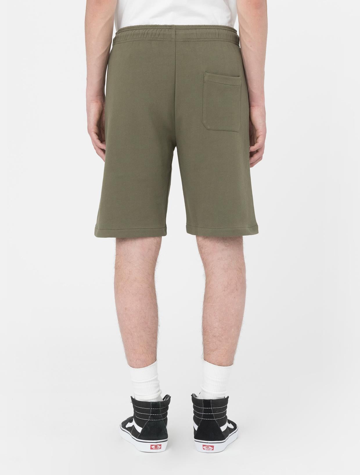 MAPLETON SHORT DK0A4Y83 MGR1 DICKIES