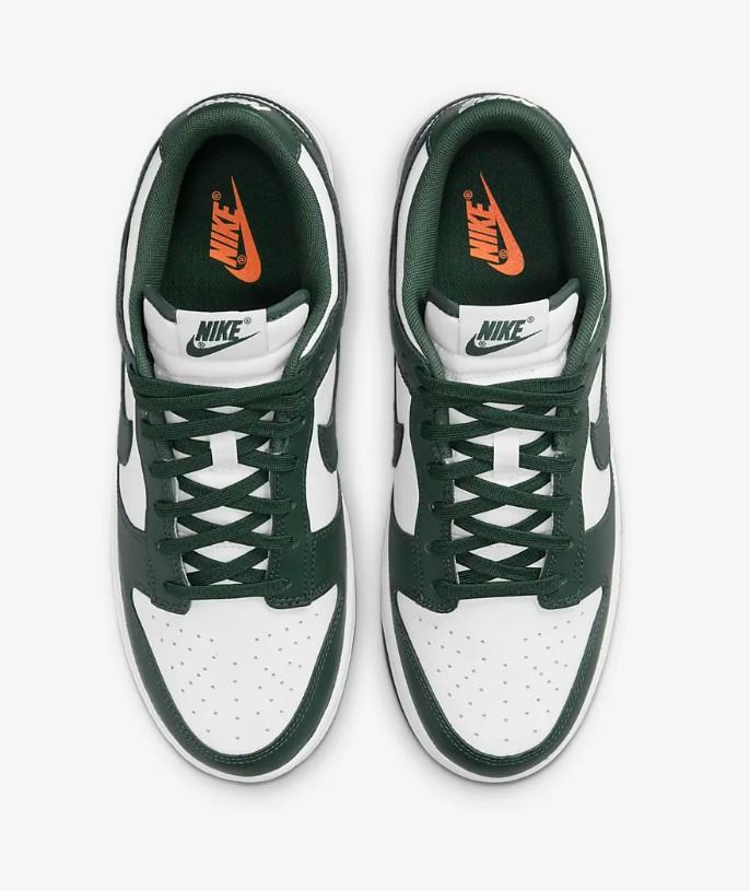 Dunk Low Retro DD1391 10 NIKE