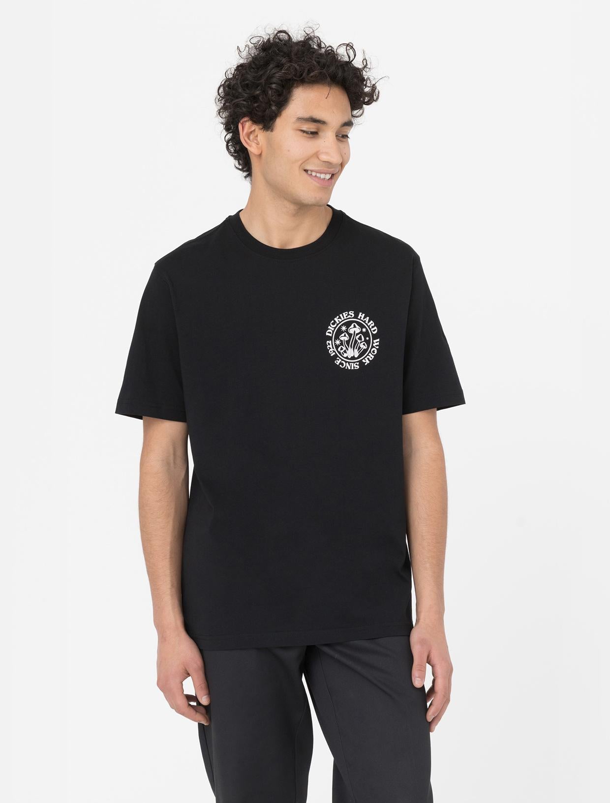 BAYSIDE GARDENS TEE DK0A4YBS BLK1 DICKIES