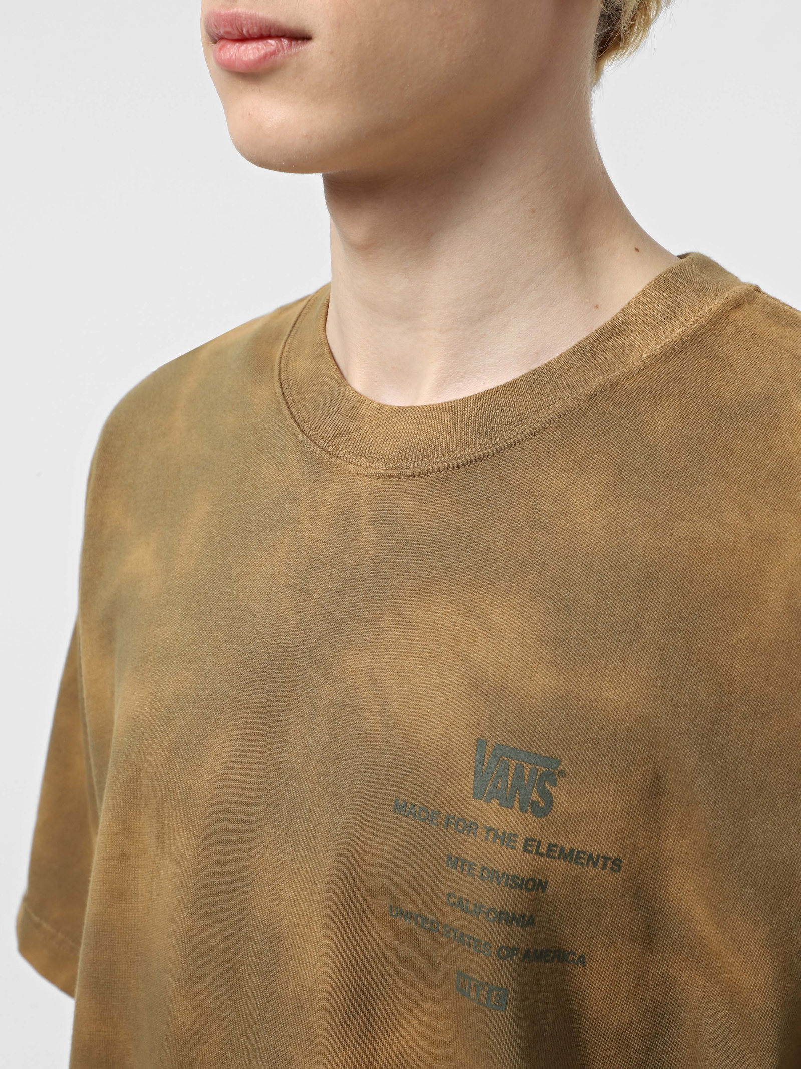 Canyonlands Ss Tee VN000M2S 0E01 VANS