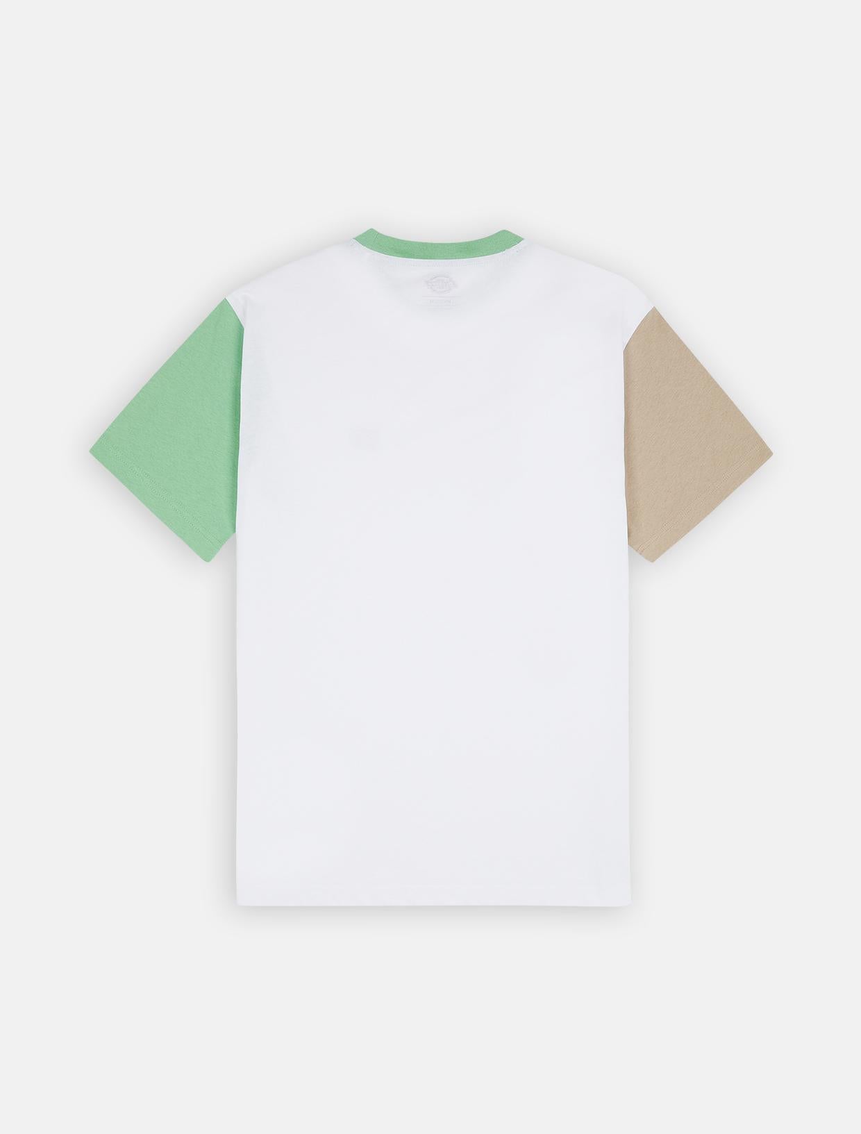EDDYVILLE Tee DK0A4Y8S WHX1 DICKIES
