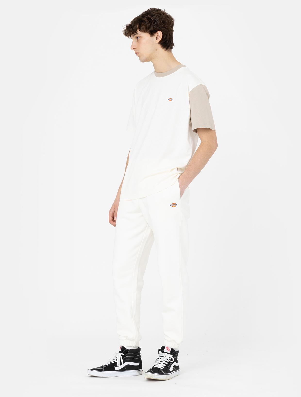 EDDYVILLE Tee DK0A4Y8S C581 DICKIES