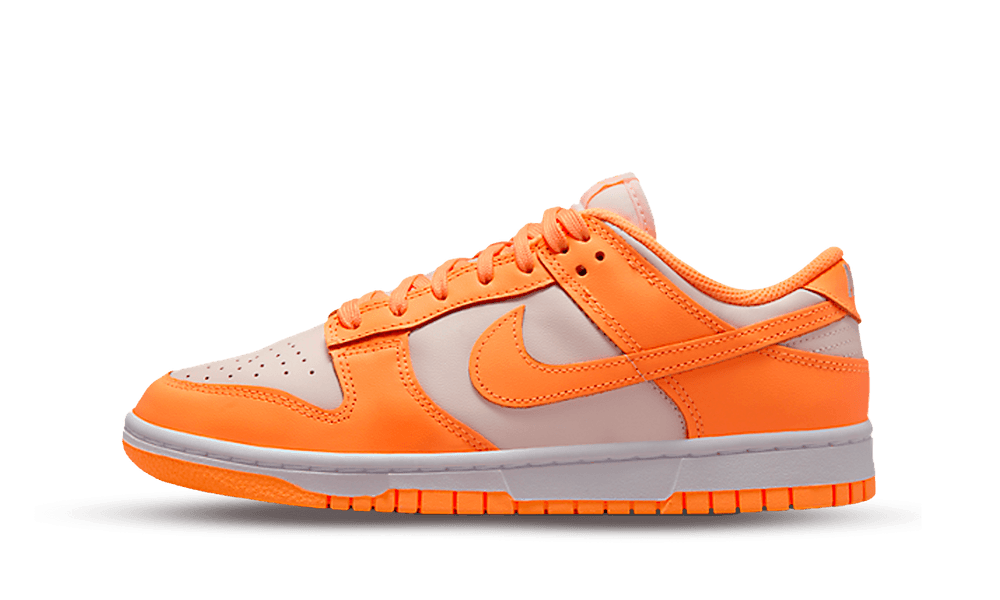 Dunk Low DD1503 801 NIKE