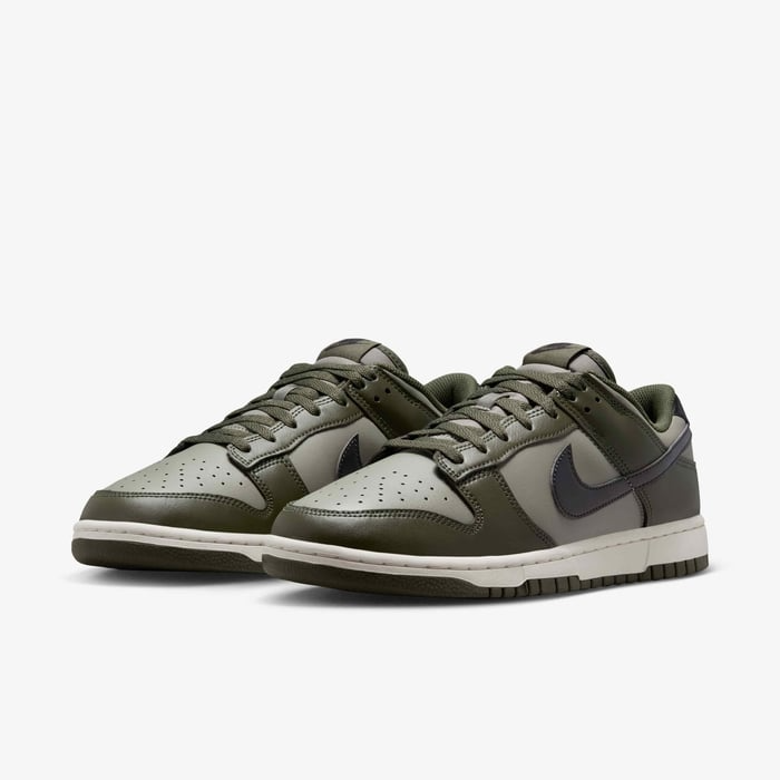 Dunk Low Retro HF5441 300 NIKE