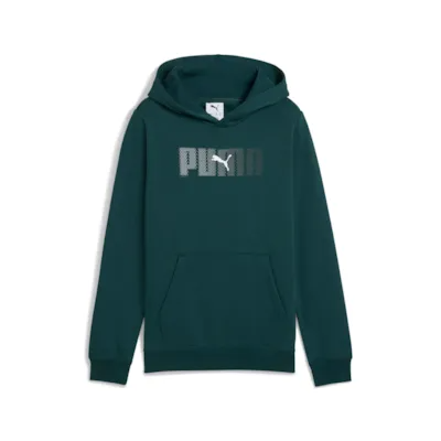 ESS LOGO LAB Hoodie FL B 689135 75 PUMA