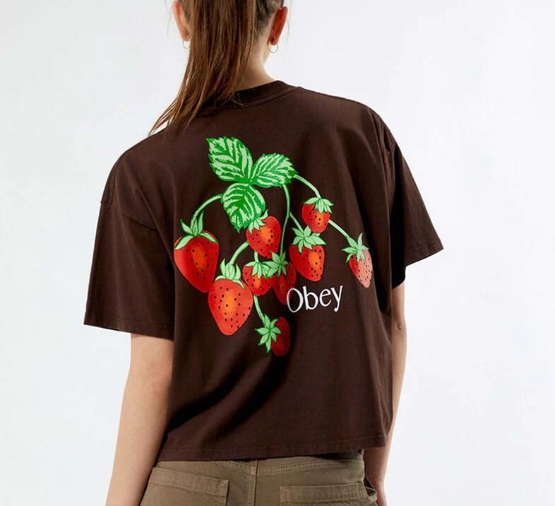 Strawberry bunch 22WC0000756 JAVABROWN OBEY