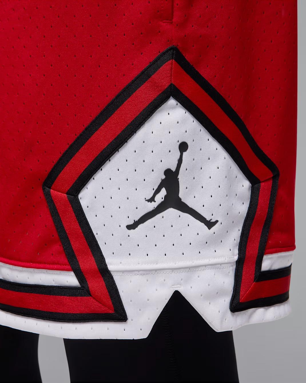Nike Short HF9910 687 JORDAN