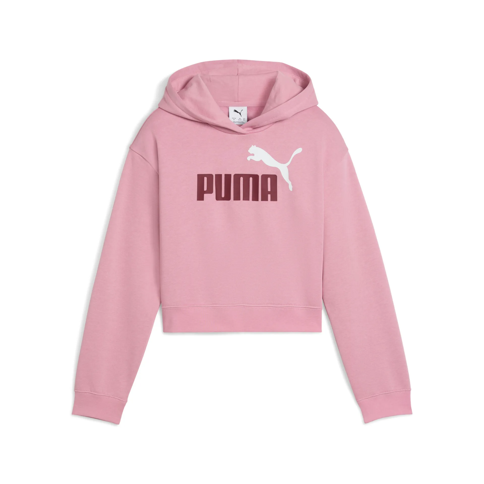 ESS 2 COLOR Logo Hoodie 690717 65 PUMA