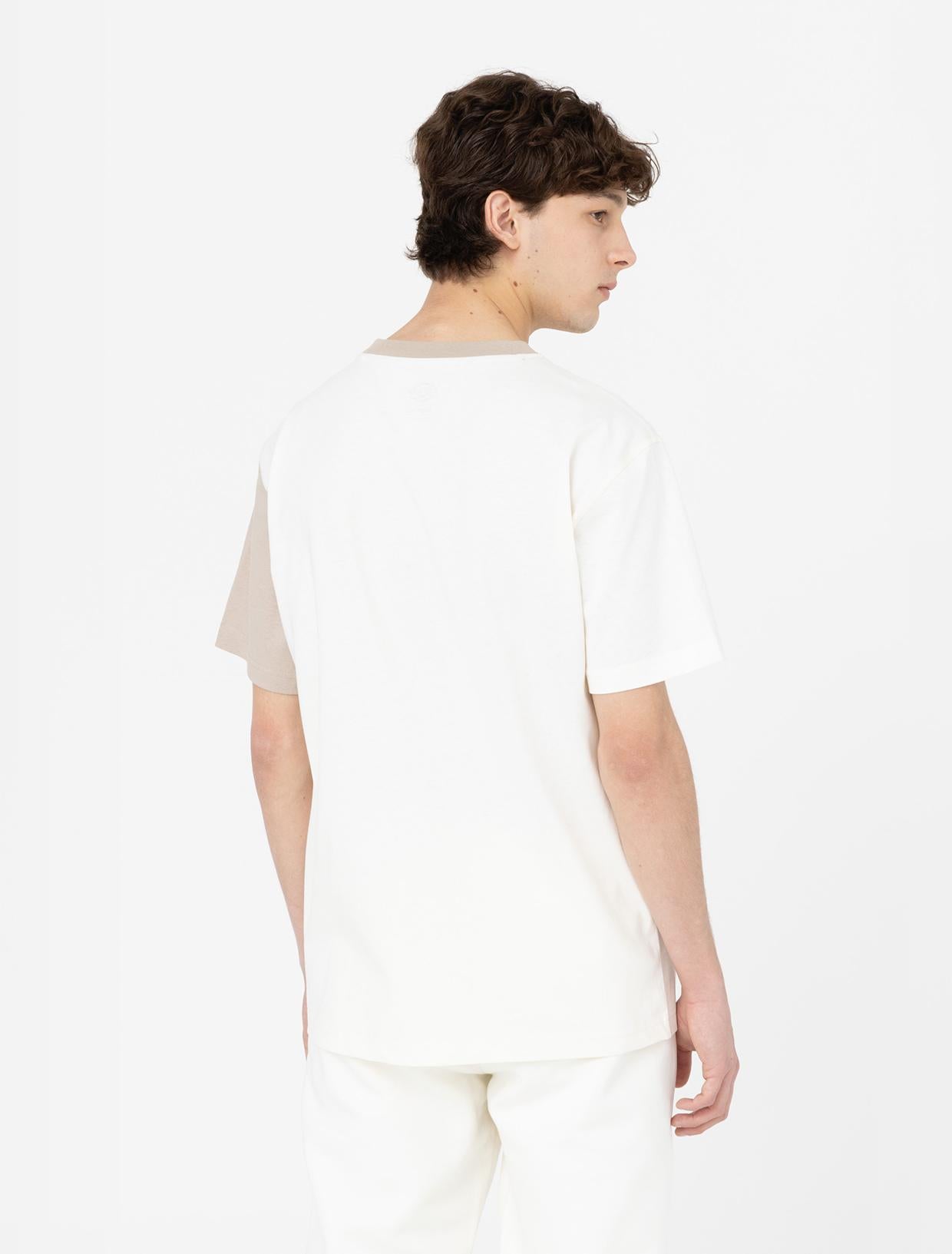 EDDYVILLE Tee DK0A4Y8S C581 DICKIES