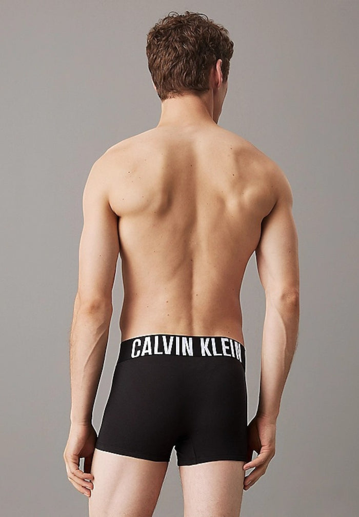 Intimo Calvin Klein iconico 000NB3608A QTJ CALVIN KLEIN