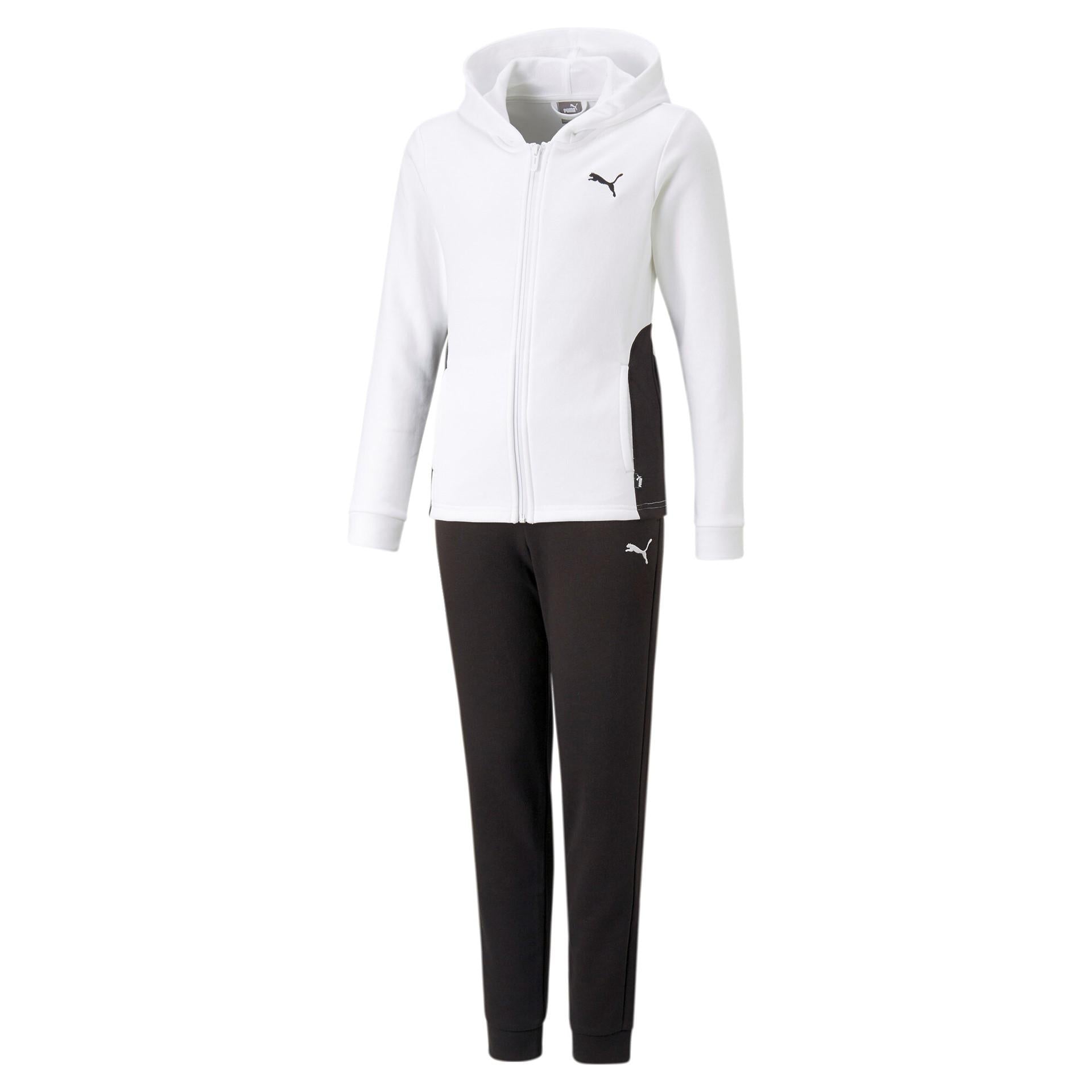 Hooded Sweat Suit 673586 02 PUMA