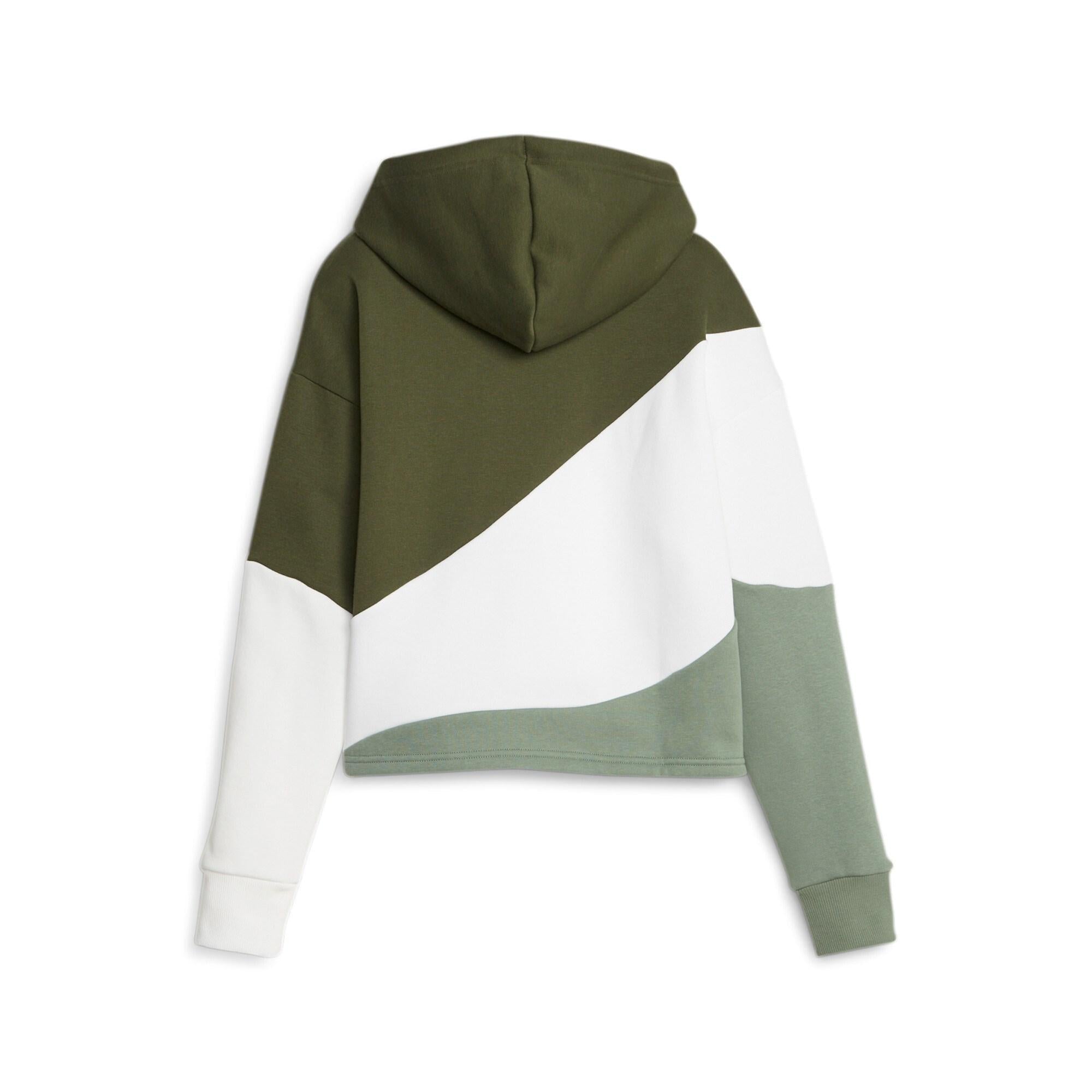 Power Cat Hoodie 623259 44 PUMA