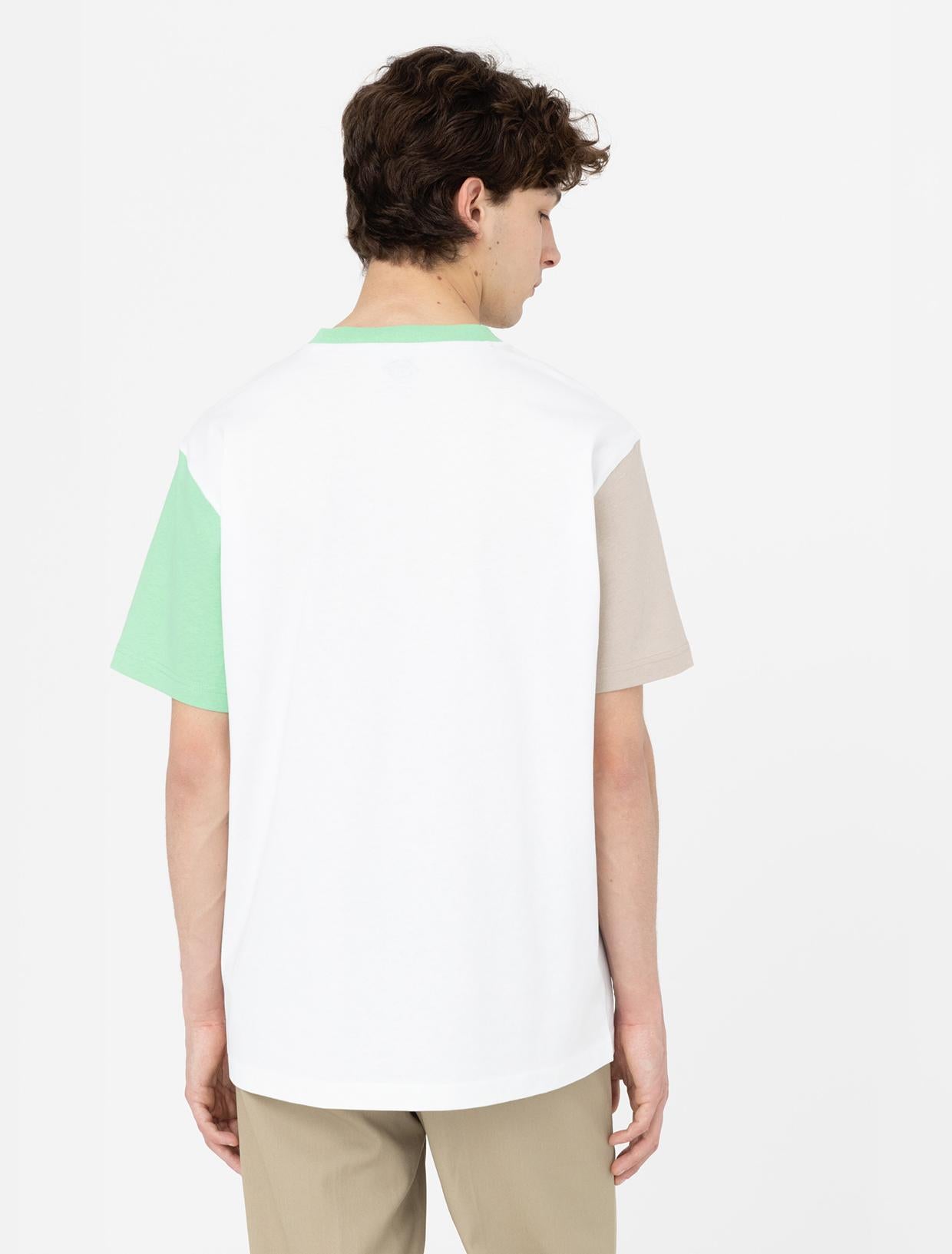 EDDYVILLE Tee DK0A4Y8S WHX1 DICKIES