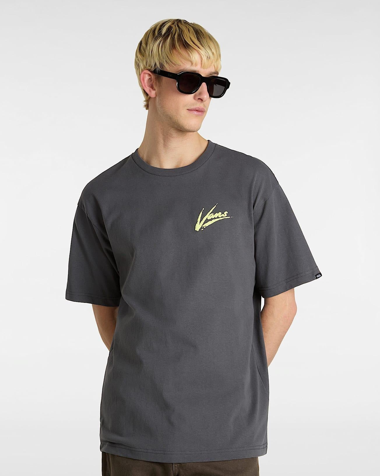 Brush Script LOOSE VN000K42 EBA1 VANS