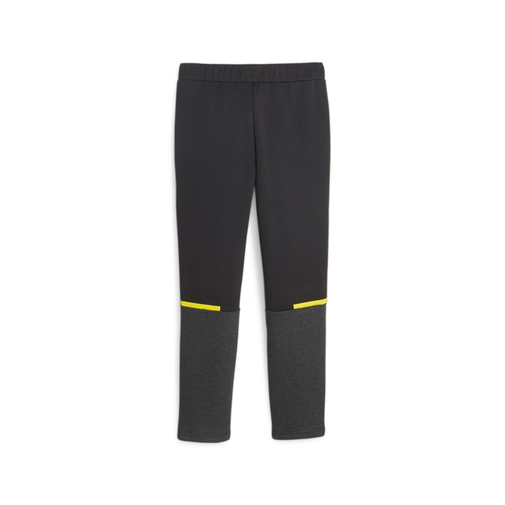 BVB Pants 771843 02 PUMA