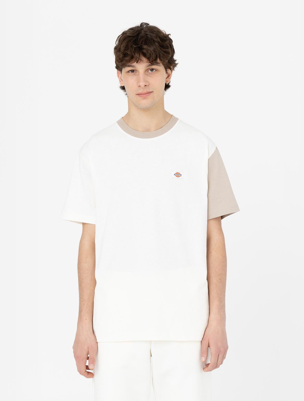 EDDYVILLE Tee DK0A4Y8S C581 DICKIES
