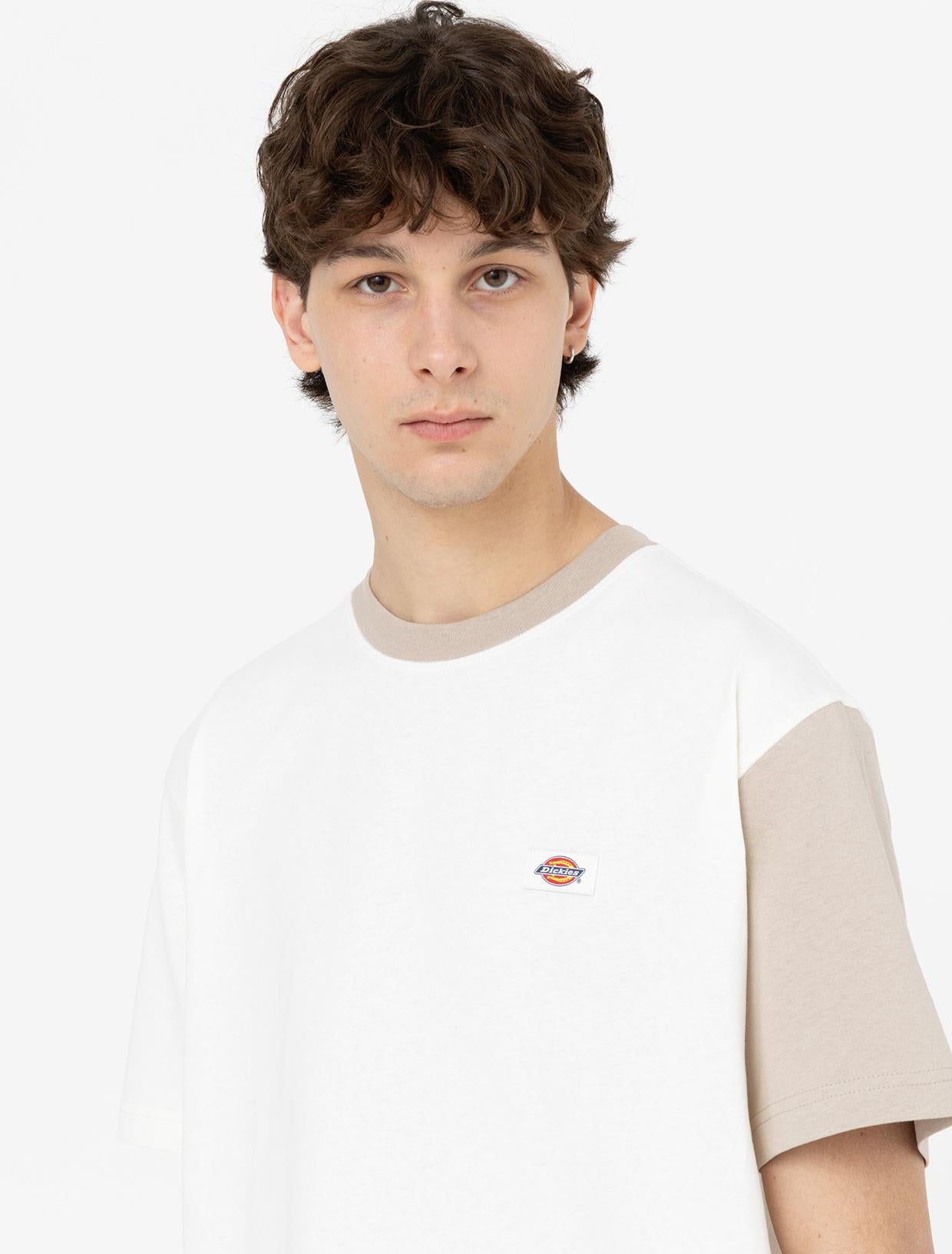 EDDYVILLE Tee DK0A4Y8S C581 DICKIES