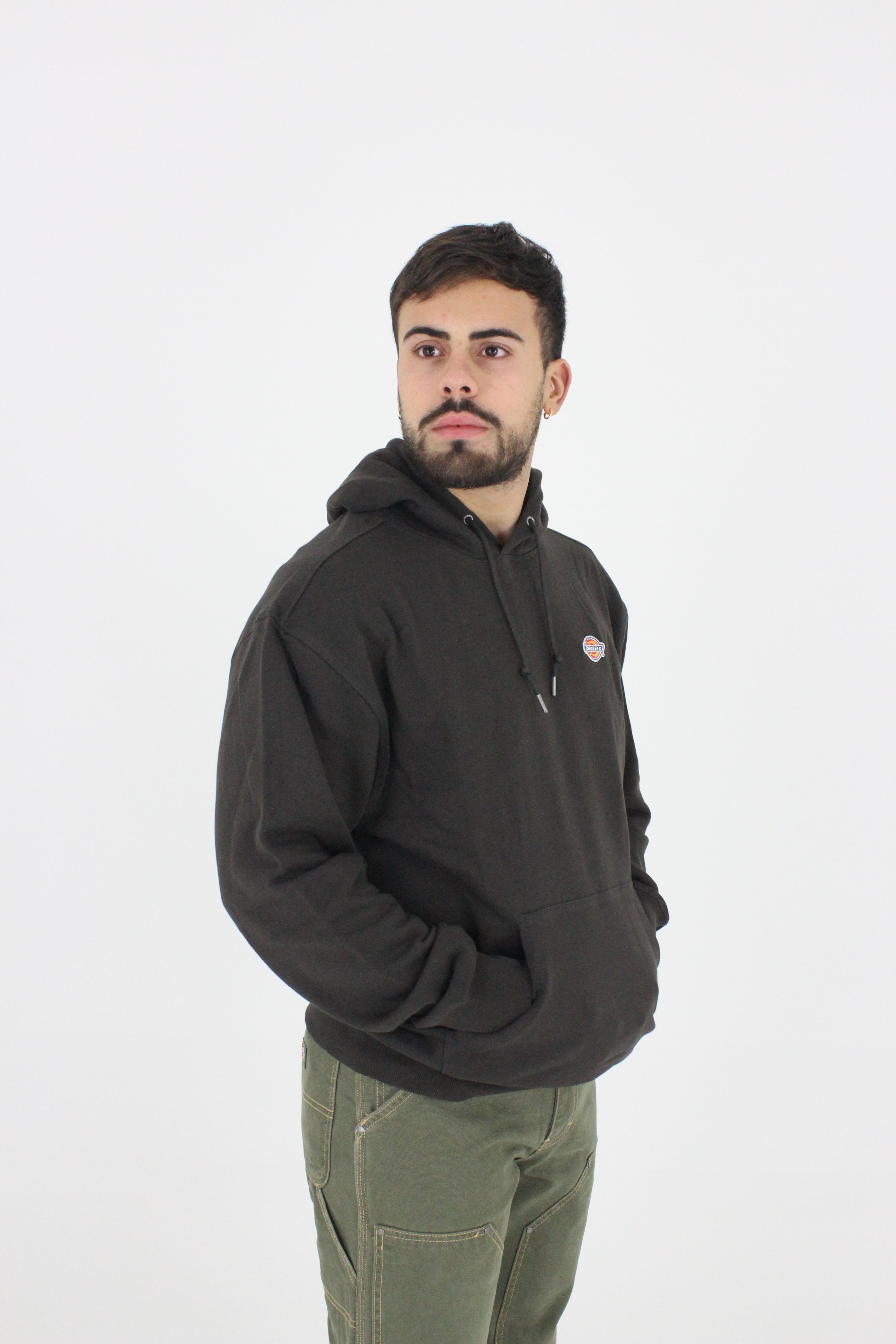Hoodie DK0A4YLY DBX1 DICKIES