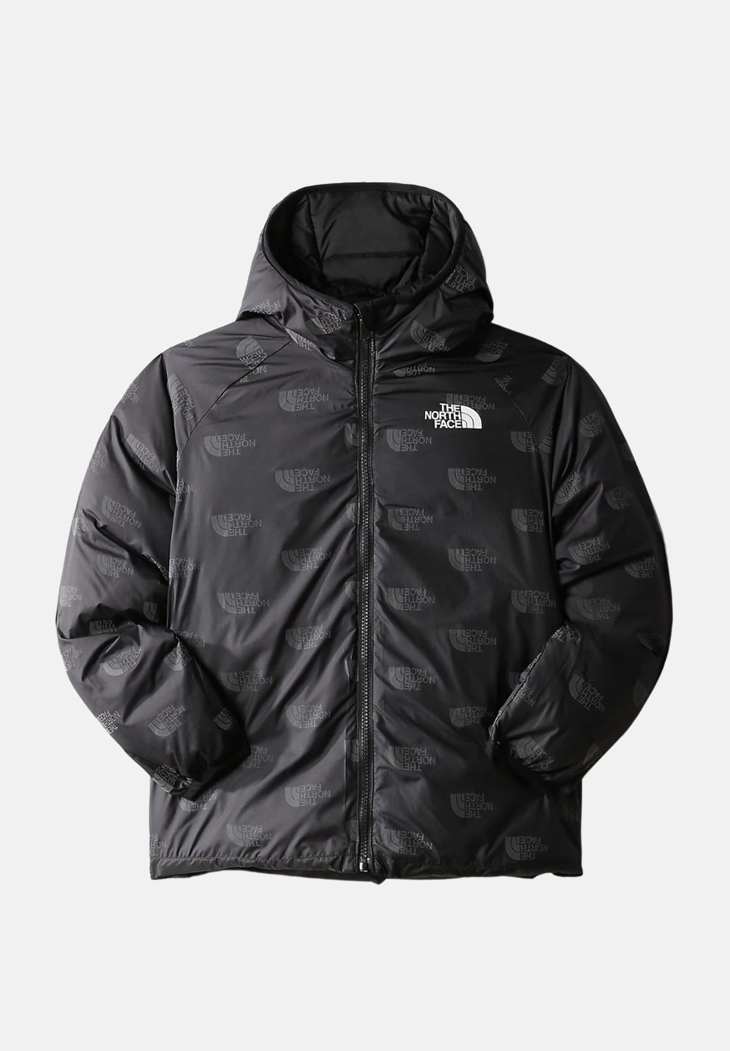 THE NORTH FACE NF0A7WOPJK31