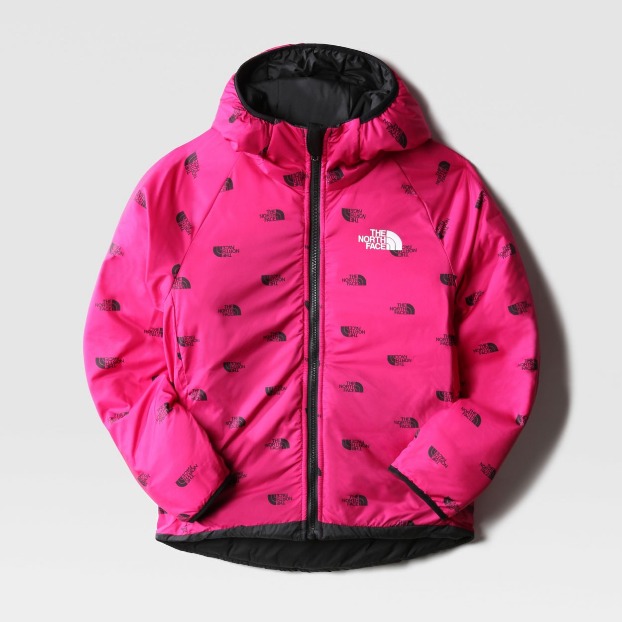 THE NORTH FACE NF0A7X4QO7Z1