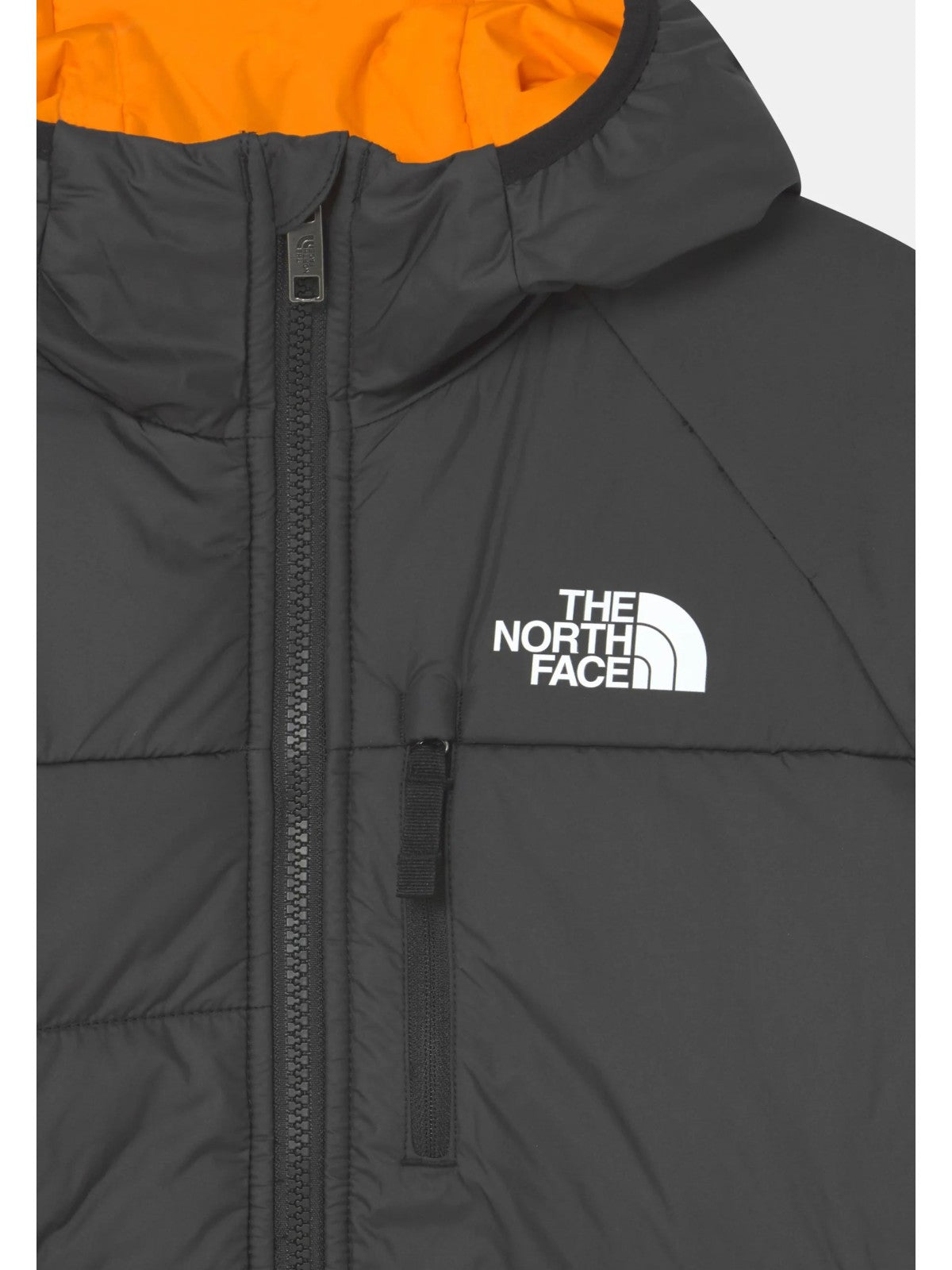 THE NORTH FACE NF0A7X4R84P1