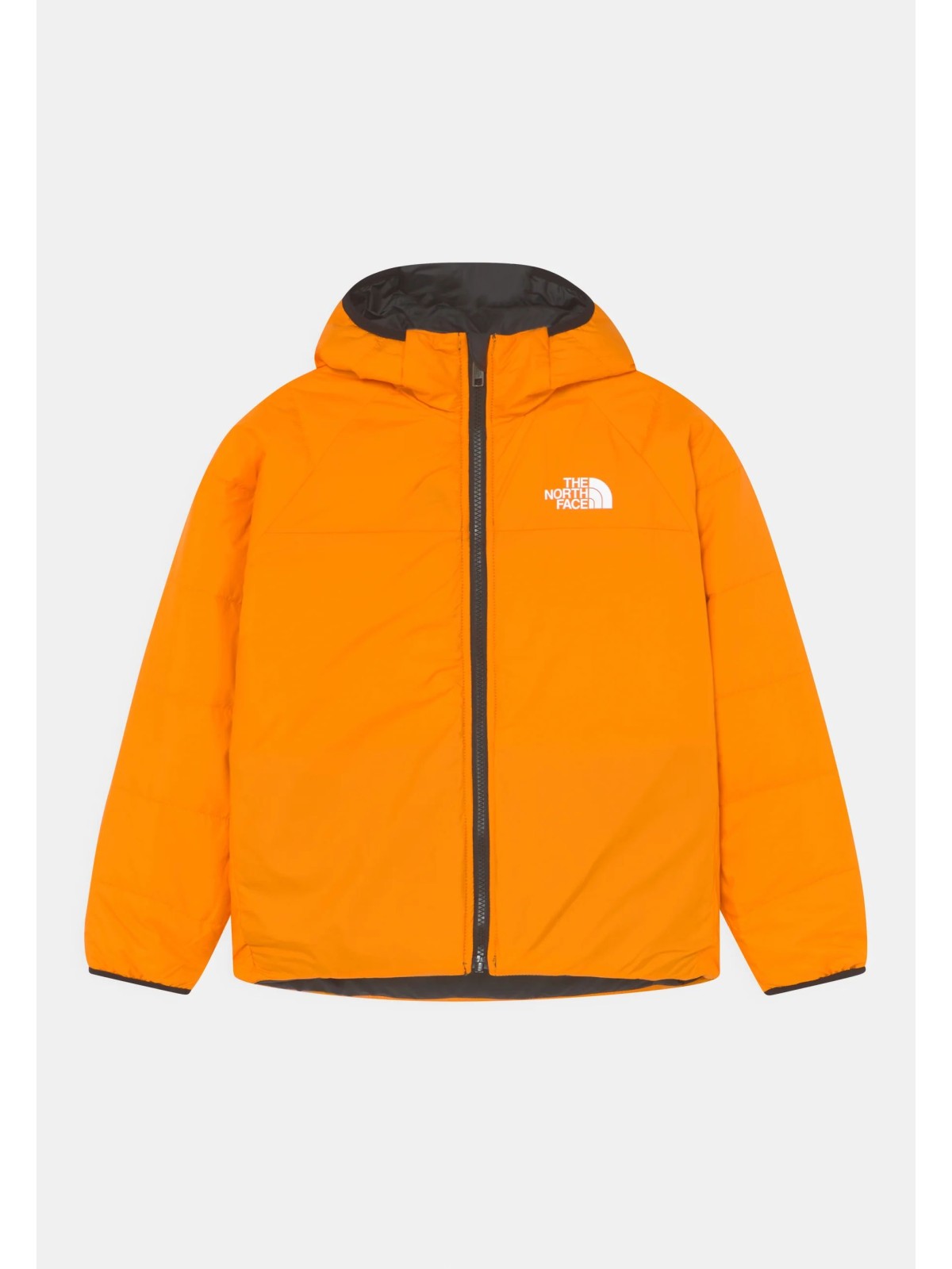 THE NORTH FACE NF0A7X4R84P1