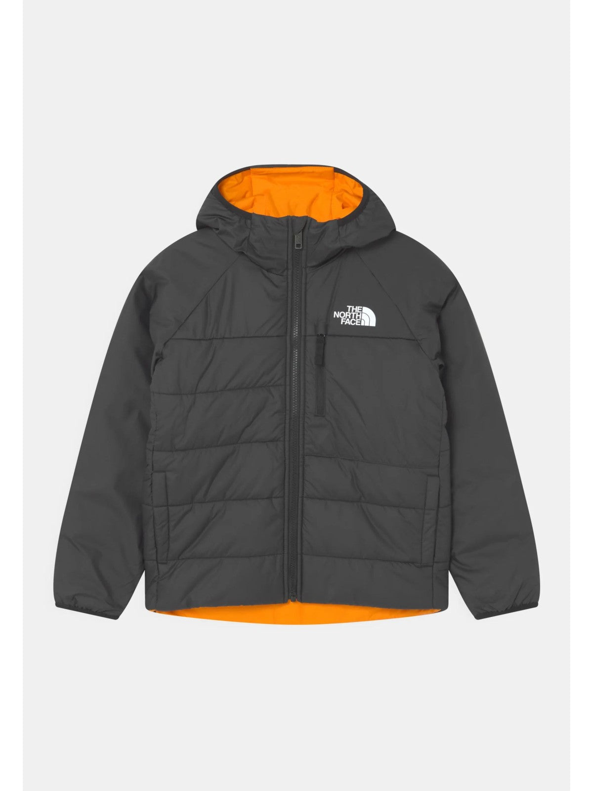 THE NORTH FACE NF0A7X4R84P1