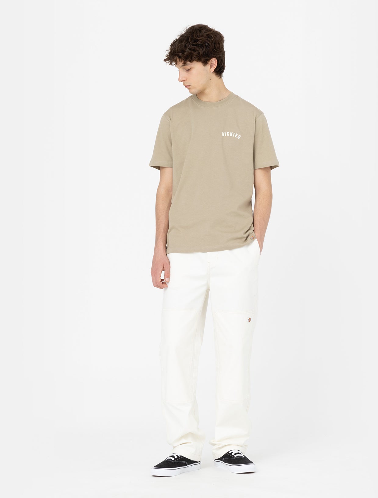 DICKIES DK0A4Y91DS01