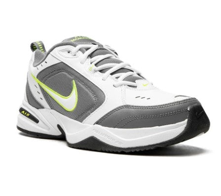 NIKE 415445100