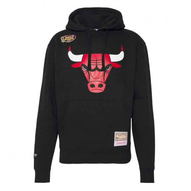 NBA Team Logo Hoody