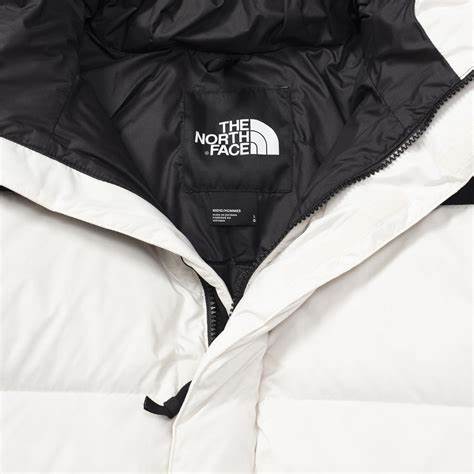 THE NORTH FACE NF0A4QYXN3N