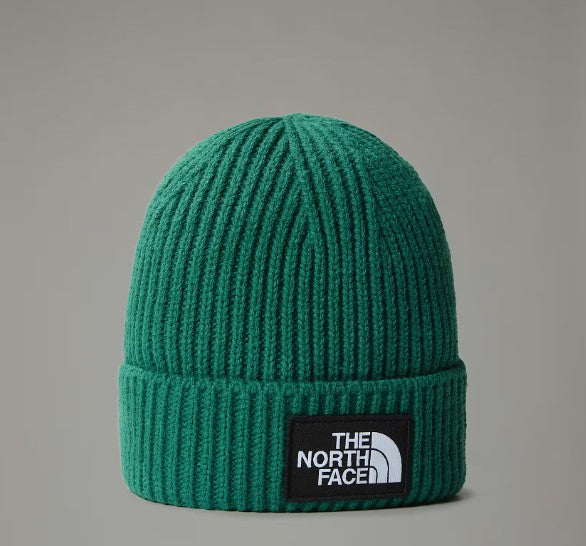 THE NORTH FACE NF0A3FJXNL11