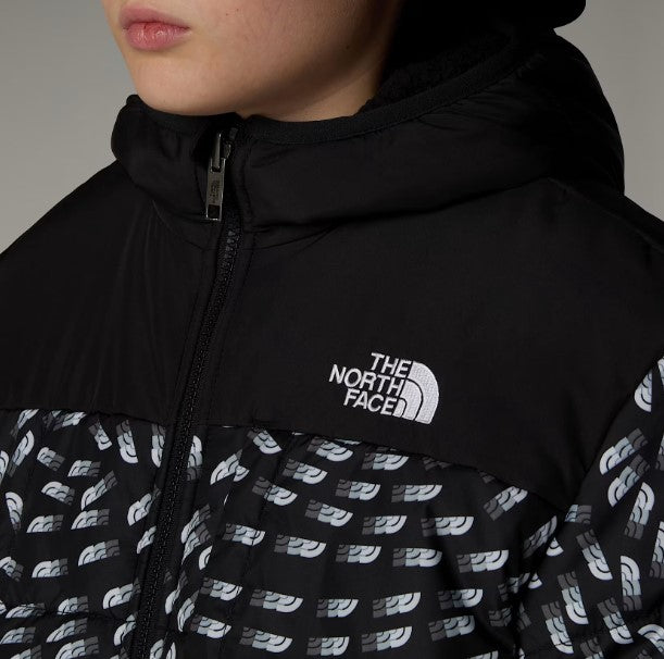 THE NORTH FACE NF0A88TP4EI