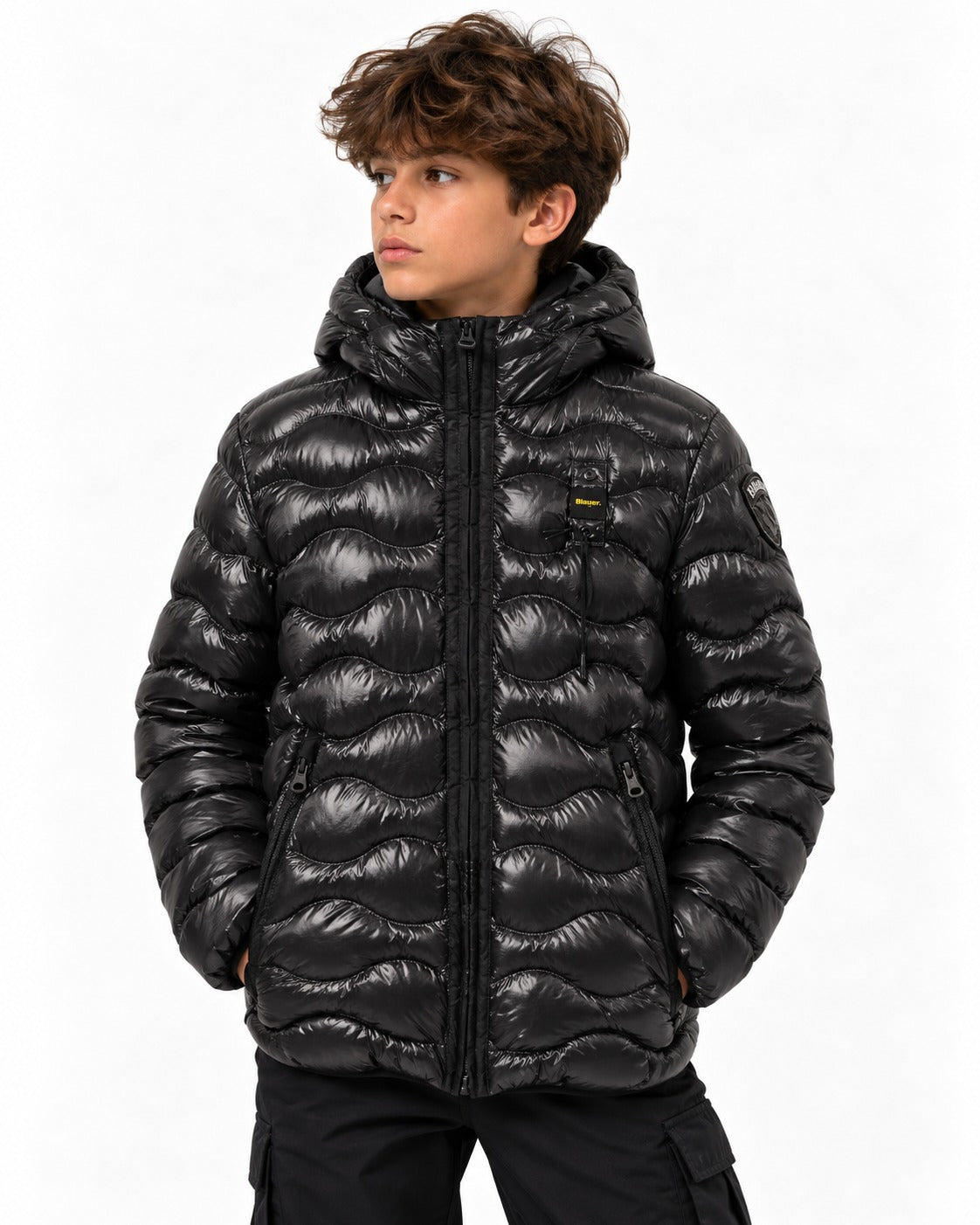 Bryant JR 26WBLKC02270 999EI BLAUER 