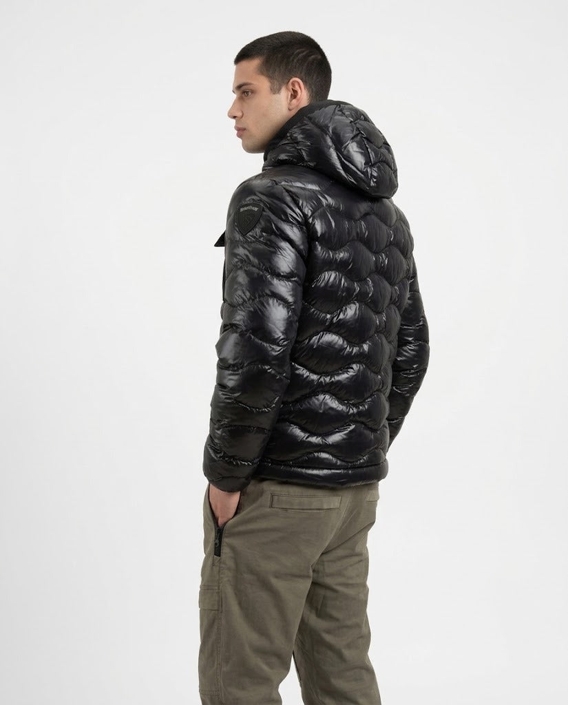 Bryant 26WBLUC02053 999EI BLAUER 