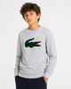 Lacoste Hoodie