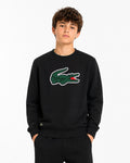 Lacoste Hoodie
